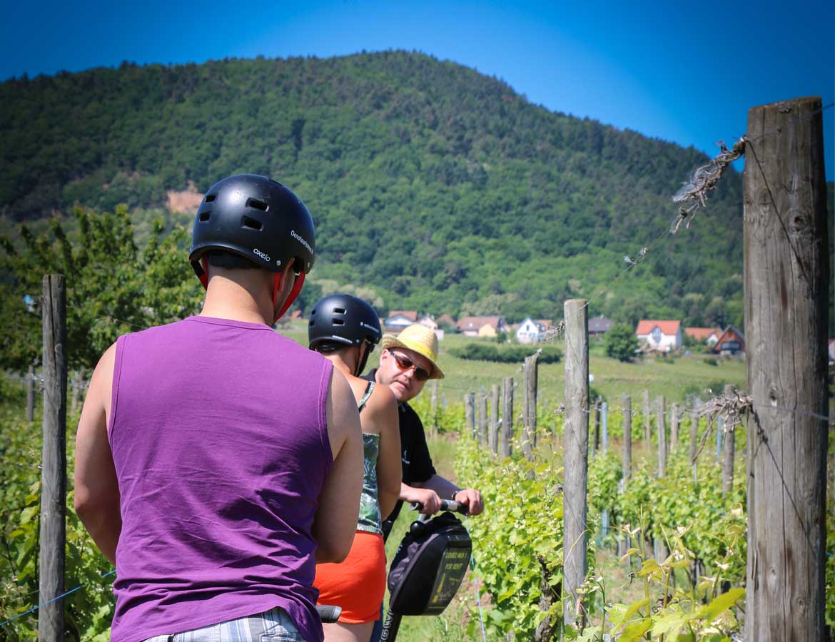 Gyropode dans les vignes