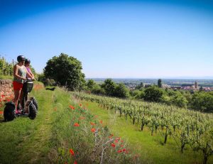 Visite du vignoble en segway