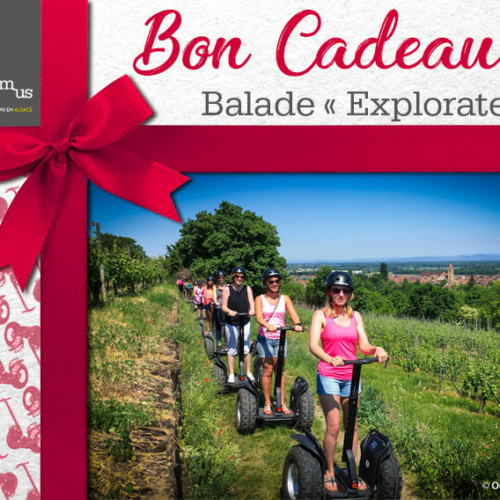 Bon cadeau segway