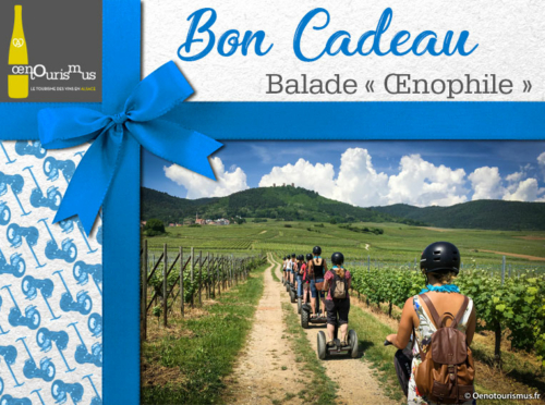 Balade Oenophile en segway