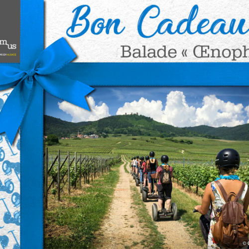 Balade Oenophile en segway