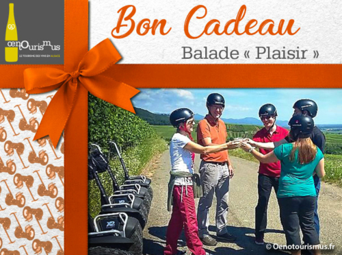 Balade plaisir en segway