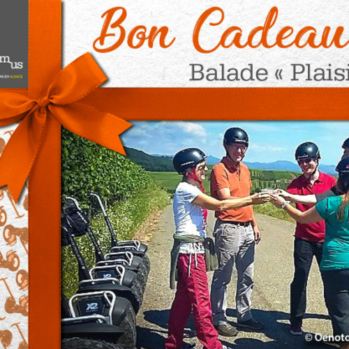 Balade plaisir en segway